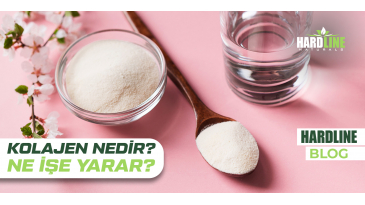 Kolajen Nedir? Ne İşe Yarar?